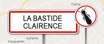 Termites La Bastide Clairence