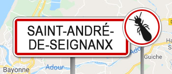 Termites Saint-André-de-Seignanx