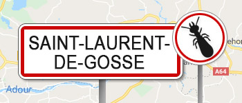 Termites Saint-Laurent-de-Gosse