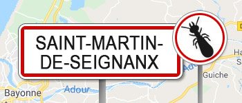 Termites Saint-Martin-de-Seignanx