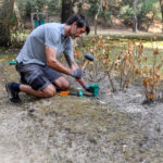 Ecobat-sentri-tech-sentri-sol-piege-termites-landes-David-Pied